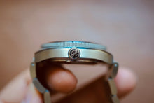 Load image into Gallery viewer, Reverie Diver