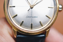 Load image into Gallery viewer, Omega Seamaster Ref. 165.001.